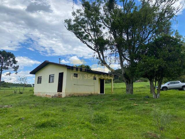 #58740424 - Chácara para Venda em Anita Garibaldi - SC - 3