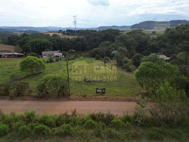 Venda em Linha Demeneck - Abdon Batista