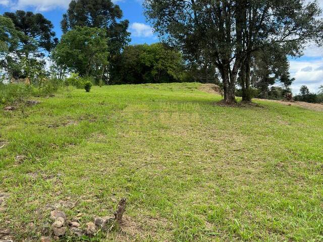 #58740429 - Chácara para Venda em Campos Novos - SC - 3