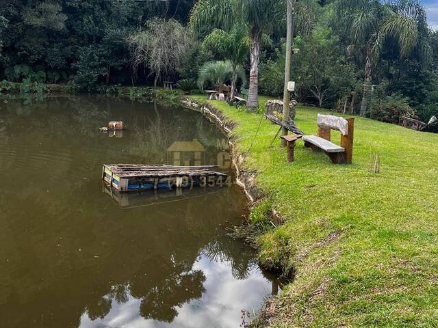 Chácara para Venda em Monte Carlo - 3