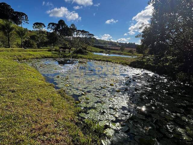 Chácara para Venda em Monte Carlo - 4