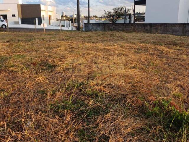 Área para Venda em Campos Novos - 4