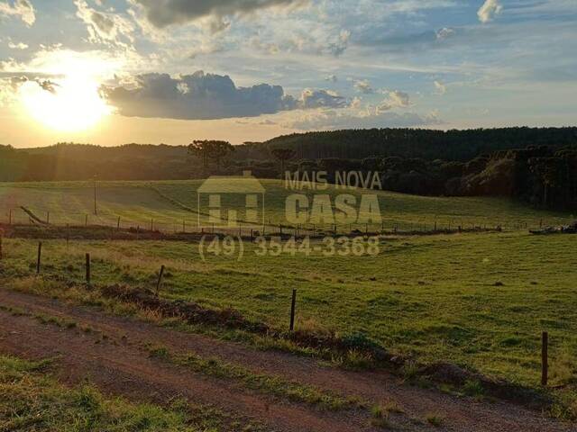 Área para Venda em Campos Novos - 2