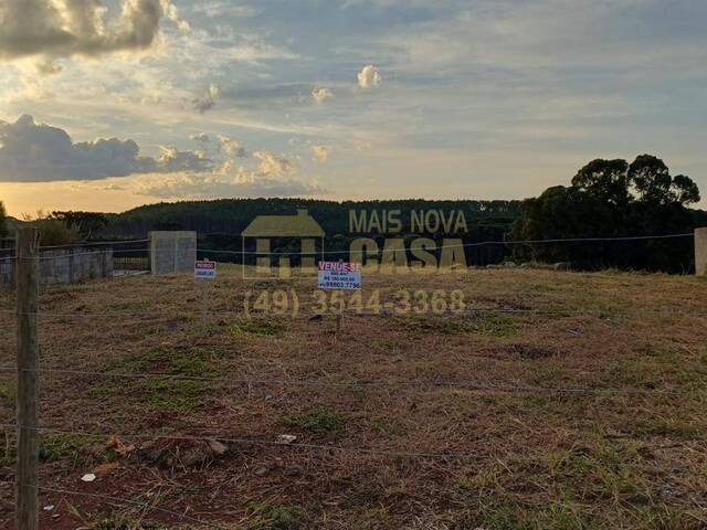 Área para Venda em Campos Novos - 5