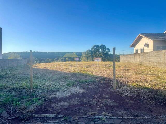 Venda em SANTA EDWIGES - Campos Novos