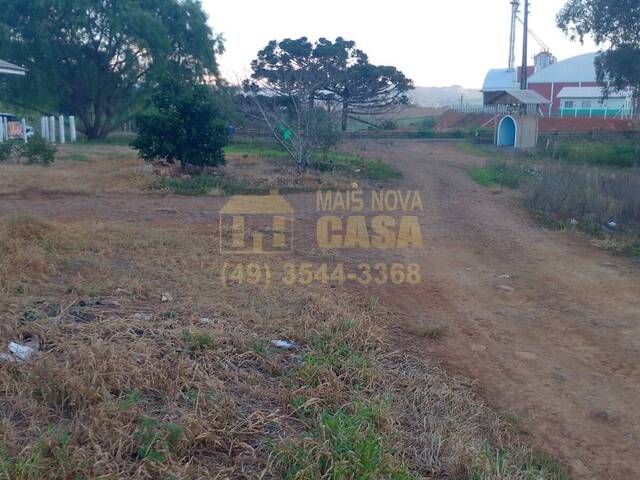 Chácara para Venda em Abdon Batista - 5