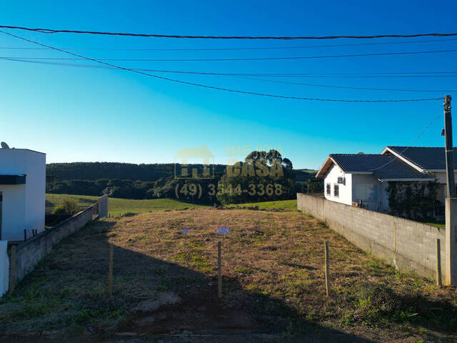 #58740447 - Área para Venda em Campos Novos - SC - 3