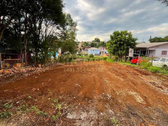 Área para Venda em Campos Novos - 3