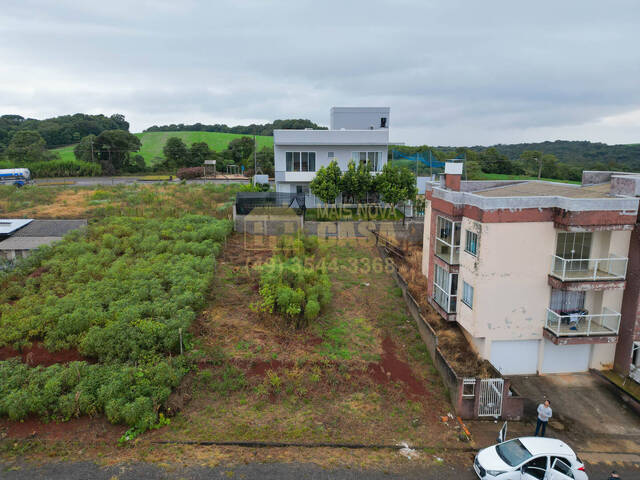 #58739641 - Área para Venda em Campos Novos - SC - 1