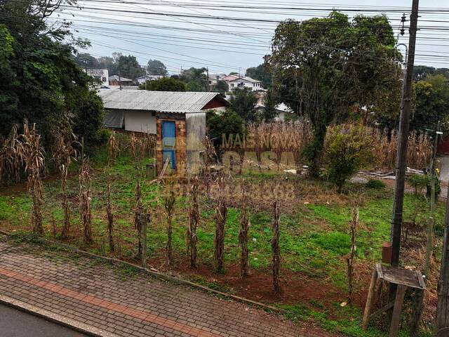 Área para Venda em Campos Novos - 4