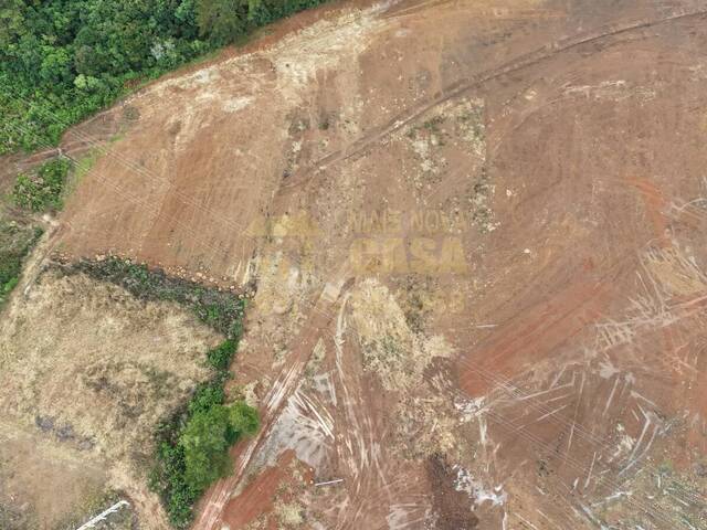 Sala para Venda em Campos Novos - 4