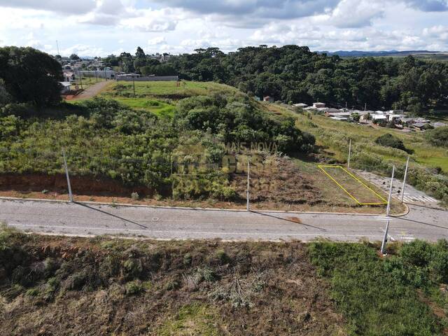 Área para Venda em Campos Novos - 3