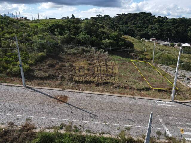 Área para Venda em Campos Novos - 4