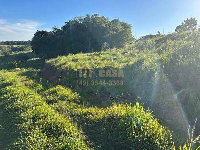 Chácara para Venda em Celso Ramos - 2