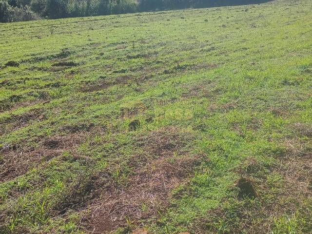 Chácara para Venda em Vargem - 2