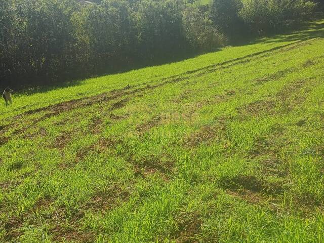 Chácara para Venda em Vargem - 4