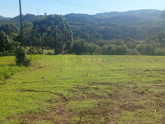 Chácara para Venda em Vargem - 3
