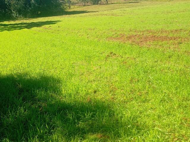 Chácara para Venda em Vargem - 5