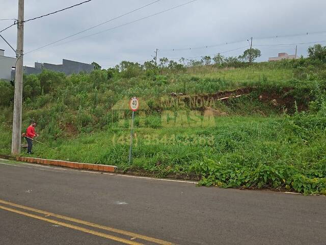 Área para Venda em Herval d`Oeste - 3
