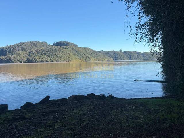 Chácara para Venda em Campos Novos - 2