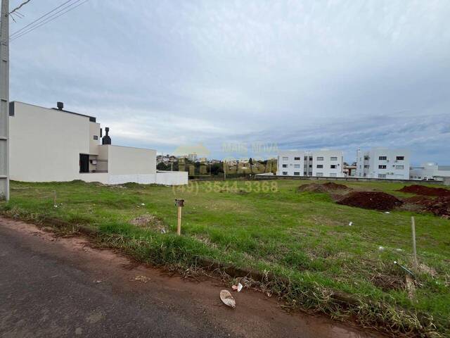 Área para Venda em Campos Novos - 2