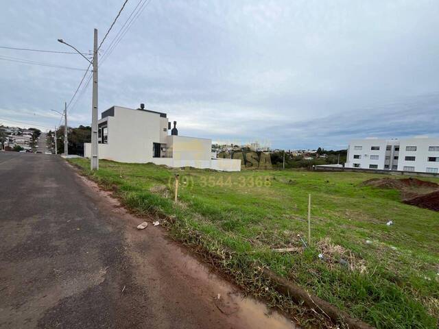 Área para Venda em Campos Novos - 3