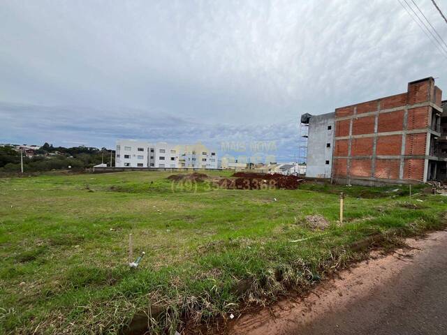 Área para Venda em Campos Novos - 5