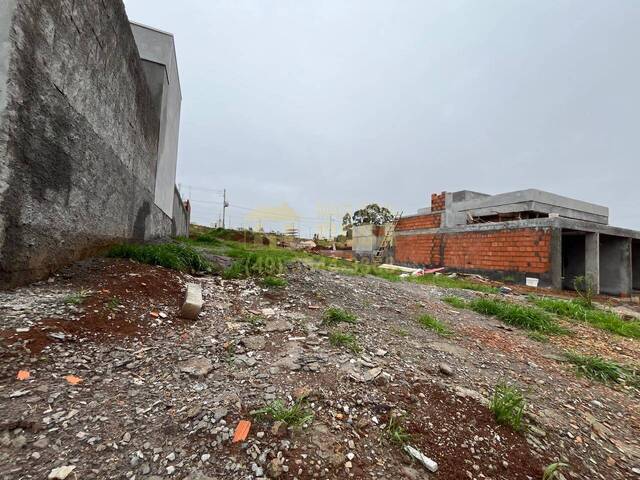 Área para Venda em Campos Novos - 3