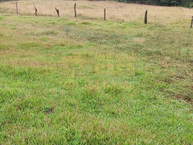 Chácara para Venda em Campos Novos - 3