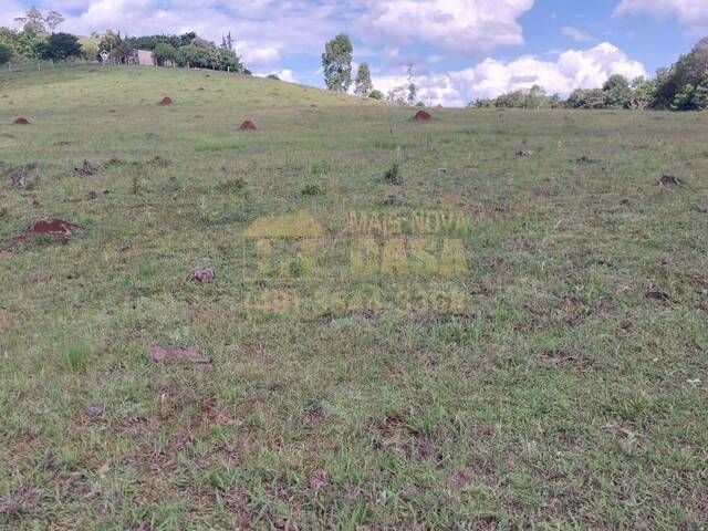 Chácara para Venda em Campos Novos - 4