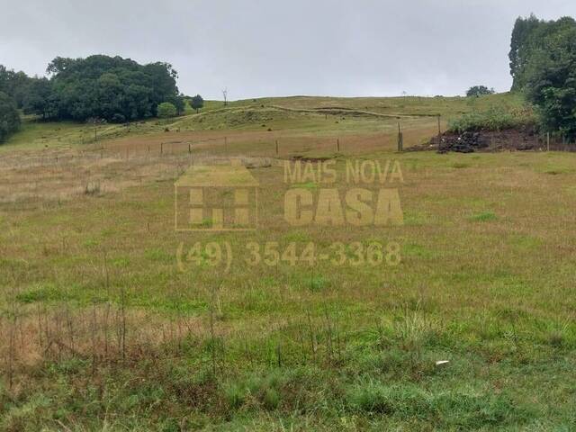 Chácara para Venda em Campos Novos - 5