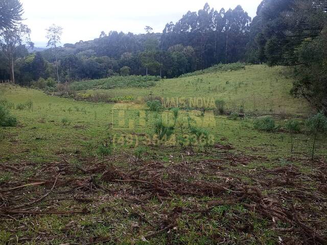 Chácara para Venda em Cerro Negro - 3