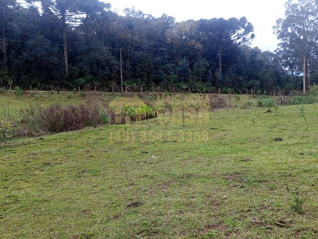 Chácara para Venda em Cerro Negro - 4