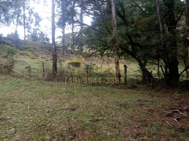 Chácara para Venda em Cerro Negro - 5