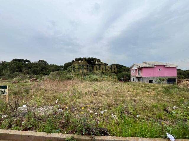 Área para Venda em Campos Novos - 2