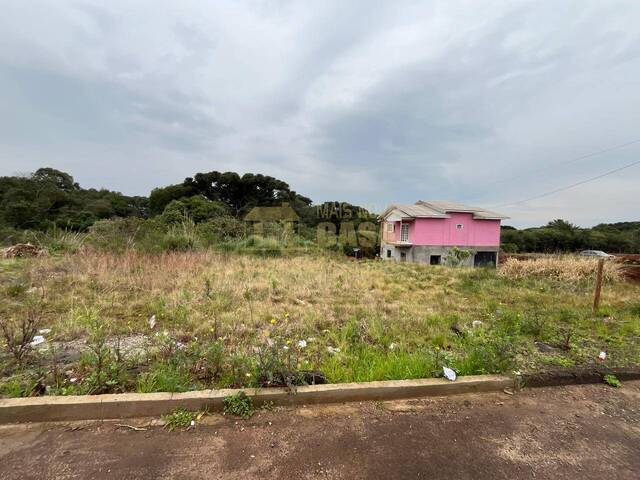 Área para Venda em Campos Novos - 3