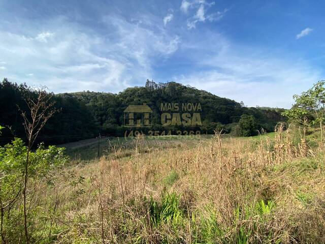 Chácara para Venda em Vargem - 4