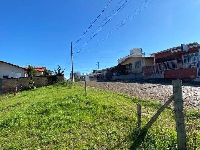 #58739066 - Área para Venda em Campos Novos - SC - 1