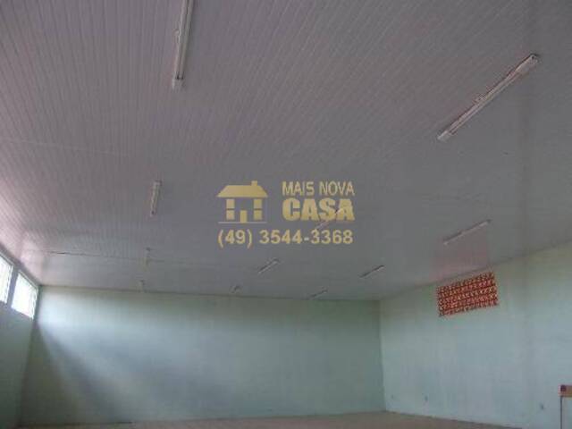 #BA0004 - Barracão para  em Campos Novos - SC - 3