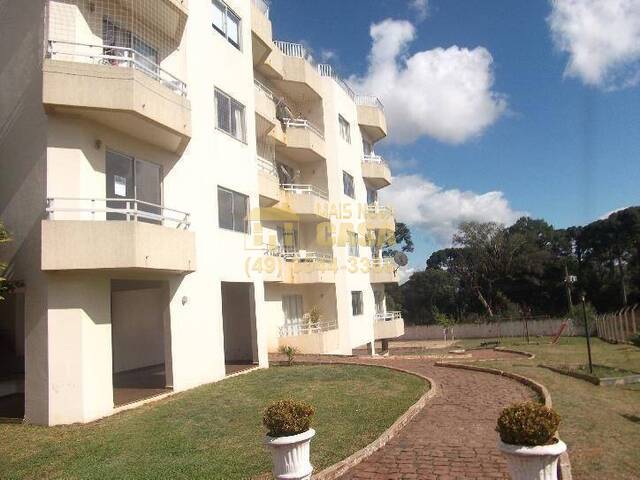 #AP0081 - Apartamento para  em Campos Novos - SC - 3