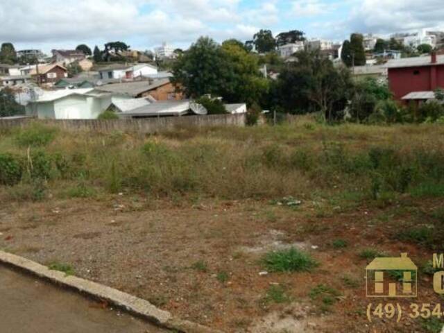 #58739213 - Terreno para Venda em Campos Novos - SC - 3