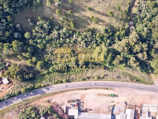 Área para Venda em Campos Novos - 4
