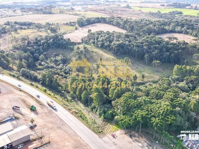 Área para Venda em Campos Novos - 5