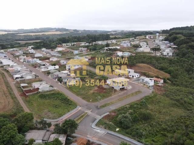 Terreno para Venda em Campos Novos - 4
