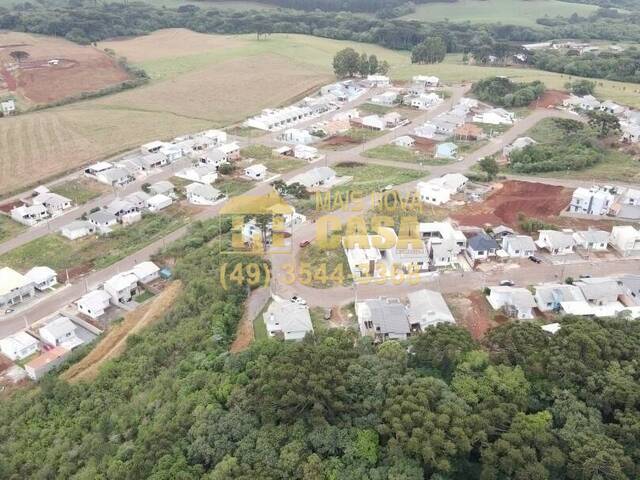 Terreno para Venda em Campos Novos - 5