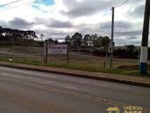 #TE0133 - Terreno para  em Campos Novos - SC - 3