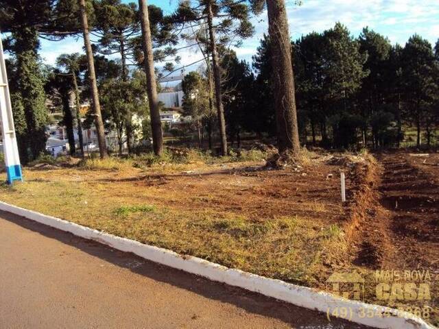 #TE0151 - Terreno para Venda em Campos Novos - SC - 2