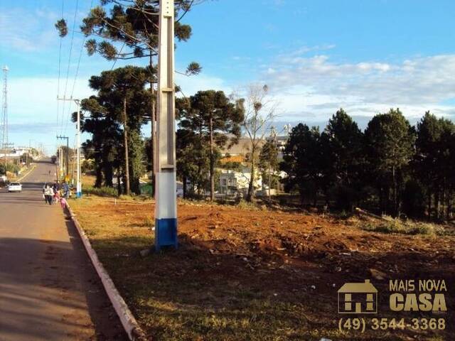 #TE0151 - Terreno para Venda em Campos Novos - SC - 3