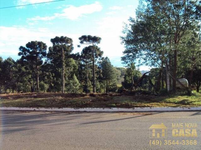Terreno para Venda em Campos Novos - 4